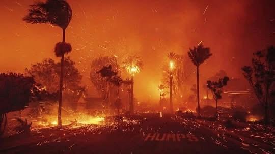 Incendio Forestal en Pacific Palisades: Vientos de 100 mph y Más de 40,000 Evacuados