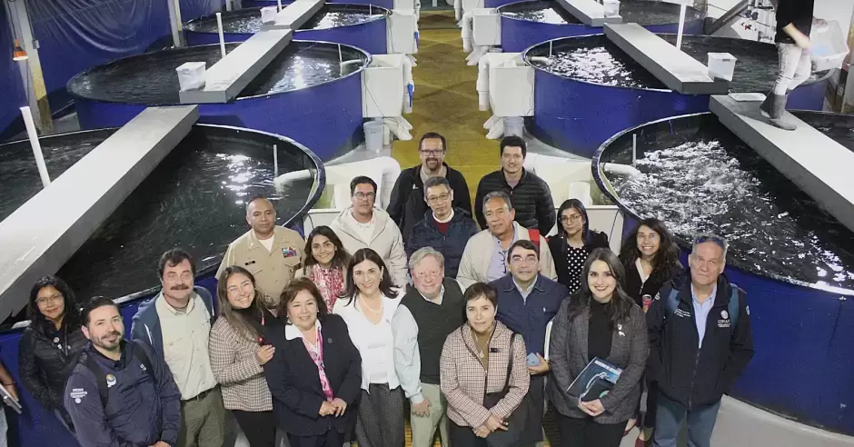 Refuerzan esfuerzos por la conservación y el desarrollo sustentable en el Alto Golfo de California